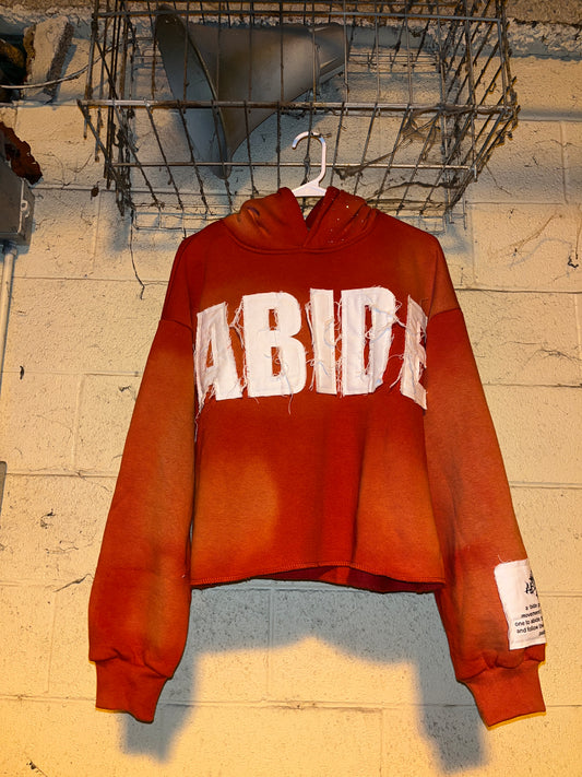 'ABIDE' Red Cropped Hoodie